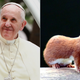 Images via Getty and Wikipedia Commons